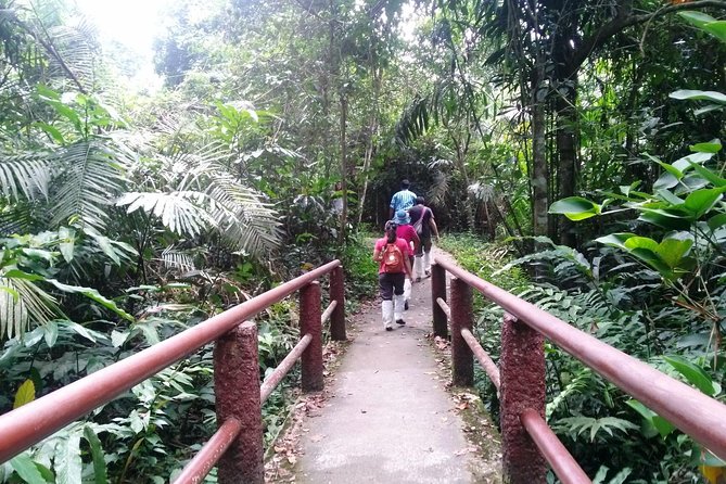 Khao Yai National Park Hiking Day Tour: Haew Narok and Haew Suwat - What the guides add to the experience