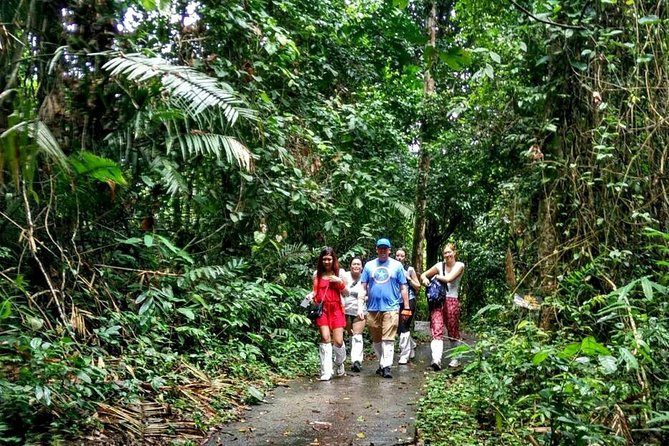 Khao Yai National Park Hiking Day Tour: Haew Narok and Haew Suwat - Seasonal conditions, comfort, and what to pack