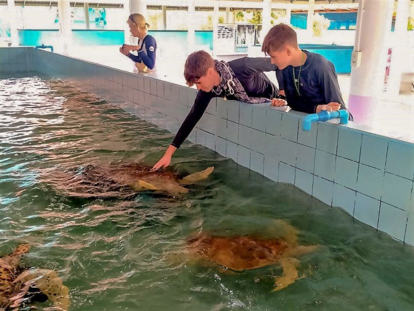 Khaolak: Bamboo Rafting, Waterfalls, and Turtle Conservation - Is $48 good value for this Khao Lak outing?