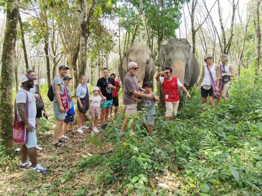 Khaolak: Sunset Elephant Walk with Complimentary Cocktail - Transfers, timing, and useful preparation