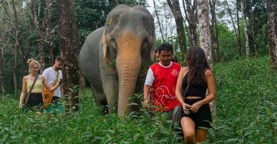 Khaolak: Sunset Elephant Walk with Complimentary Cocktail - Meeting Tony and settling in with a cocktail