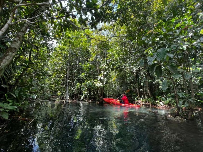 Klong Rud Kayaking with Hotel Transfer - Key points to know before booking