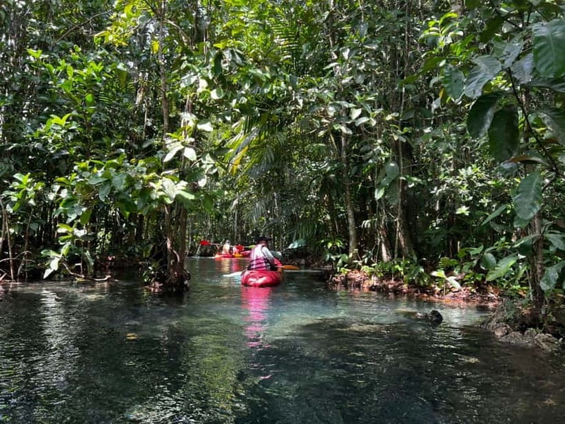 Klong Rud Kayaking with Hotel Transfer - A calm lagoon outing near Ao Nang