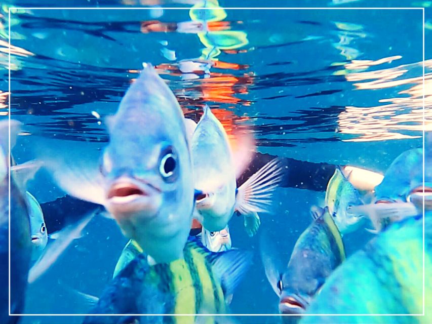 Ko Lanta: 4 Islands Snorkeling Tour by Longtail Boat - Should you book the Ko Lanta four-island tour?