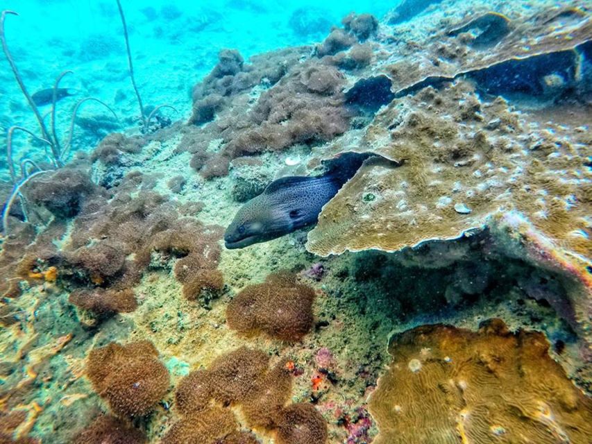 Ko Lanta: 4 Islands Snorkeling Tour by Longtail Boat - What the longtail boat ride is really like