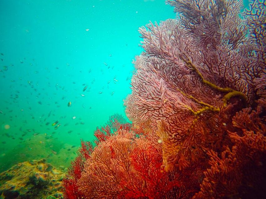 Ko Lanta: 4 Islands Snorkeling Tour by Longtail Boat - Who will enjoy this trip most?