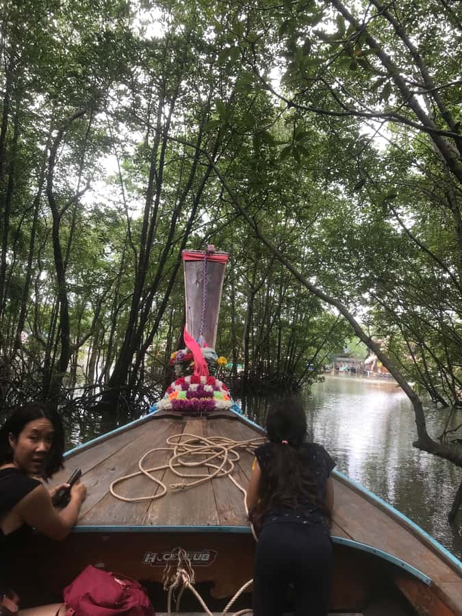 Ko Lanta: EXPLORE MANGROVE TOUR BY LONGTAIL BOAT WITH LUNCH - Key points to know before booking
