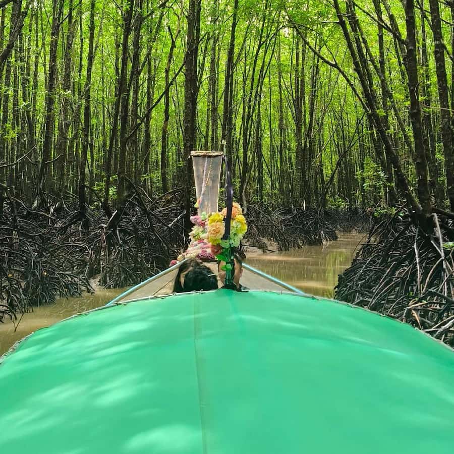 Ko Lanta: EXPLORE MANGROVE TOUR BY LONGTAIL BOAT WITH LUNCH - What the longtail boat ride is really like