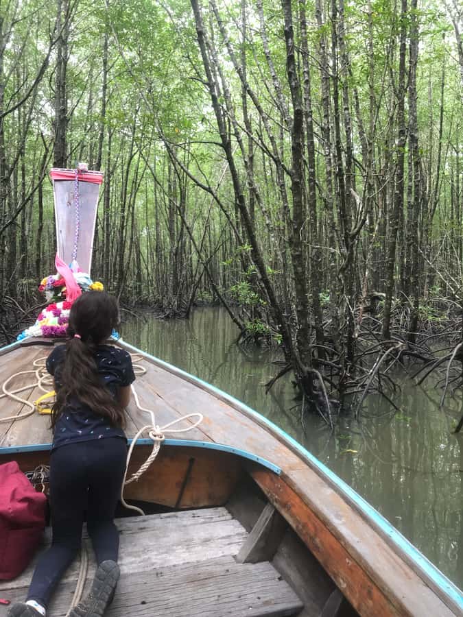 Ko Lanta: EXPLORE MANGROVE TOUR BY LONGTAIL BOAT WITH LUNCH - Monkeys, crabs, and the value of patient viewing