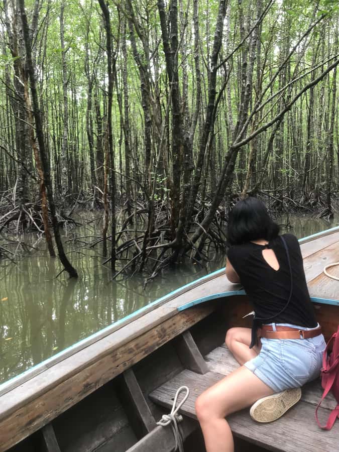 Ko Lanta: EXPLORE MANGROVE TOUR BY LONGTAIL BOAT WITH LUNCH - The four-hour schedule and hotel transfer