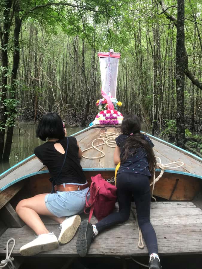 Ko Lanta: EXPLORE MANGROVE TOUR BY LONGTAIL BOAT WITH LUNCH - Is $28 a fair price?