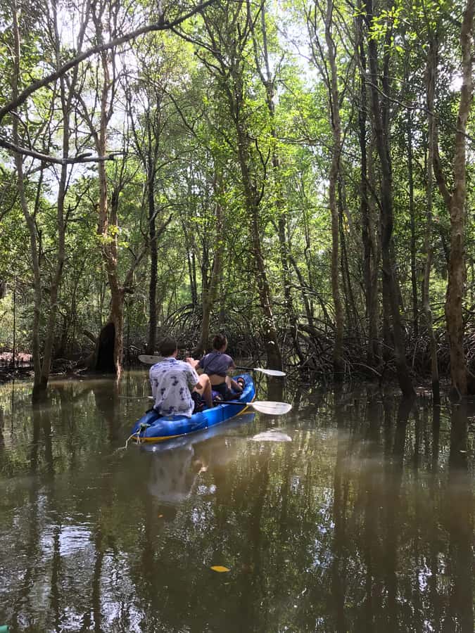 Ko Lanta: HALF DAY EXPLORE MANGROVE KAYAKING TOUR AND LUNCH - What the $28 price really covers
