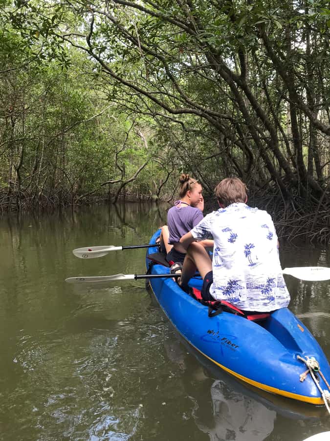 Ko Lanta: HALF DAY EXPLORE MANGROVE KAYAKING TOUR AND LUNCH - A realistic look at the 3.5-hour schedule
