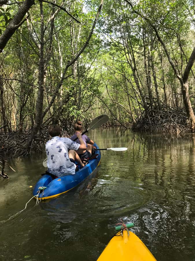 Ko Lanta: HALF DAY EXPLORE MANGROVE KAYAKING TOUR AND LUNCH - Who will enjoy this Ko Lanta tour