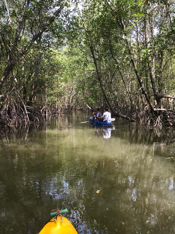 Ko Lanta: HALF DAY EXPLORE MANGROVE KAYAKING TOUR AND LUNCH - Booking and cancellation details