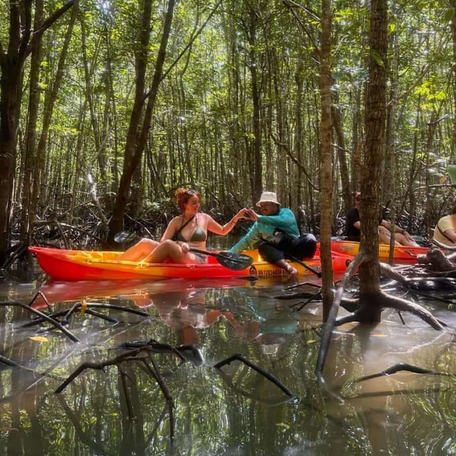 Ko Lanta: HALF DAY EXPLORE MANGROVE KAYAKING TOUR AND LUNCH - Monkeys beside the boat
