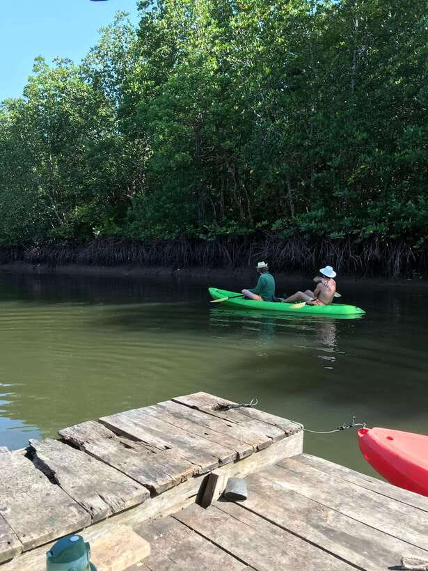Ko Lanta: Half-Day Mangrove Kayaking Tour with Lunch - Why the Ban Thung Yee Peng mangroves are worth your morning