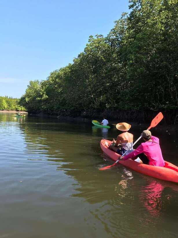 Ko Lanta: Half-Day Mangrove Kayaking Tour with Lunch - Hotel pickup keeps this a simple half-day plan