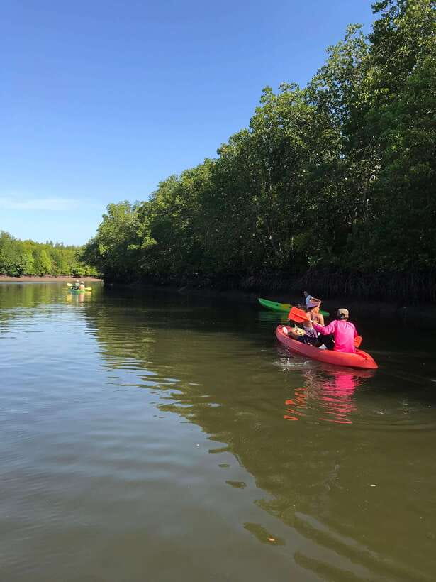 Ko Lanta: Half-Day Mangrove Kayaking Tour with Lunch - The monkey stop needs a little care