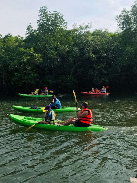 Ko Lanta: Half-Day Mangrove Kayaking Tour with Lunch - Village life and the fish farm add local context