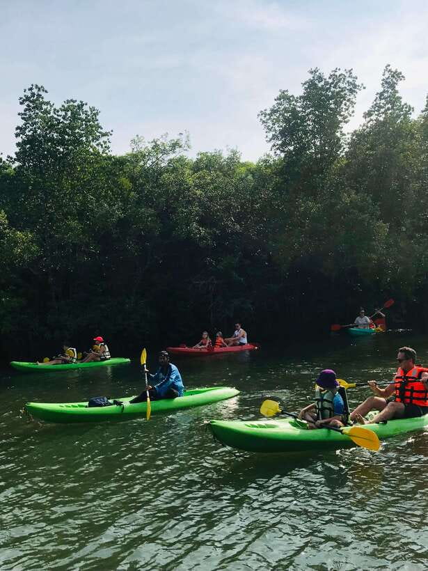 Ko Lanta: Half-Day Mangrove Kayaking Tour with Lunch - Weather can change the mood, not ruin the trip