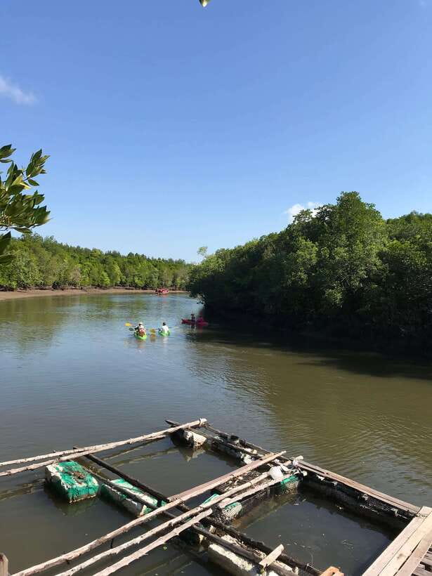Ko Lanta: Half-Day Mangrove Kayaking Tour with Lunch - What the $26 price really covers
