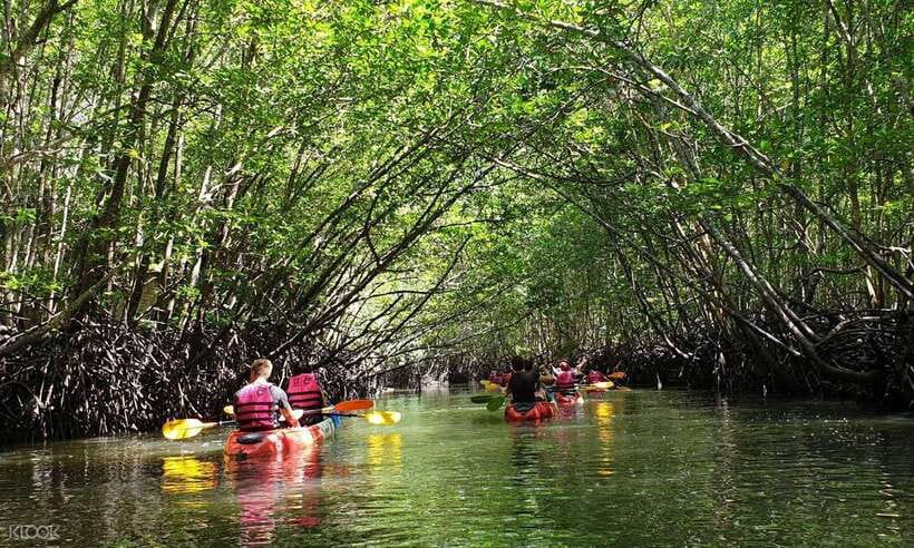 Ko Lanta: Half-Day Mangrove Kayaking Tour with Lunch - Getting comfortable in the kayak