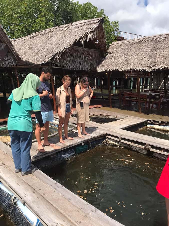 Ko Lanta: Half Day Tour Mangrove Boat Trip With Lunch - Monkeys near the boat