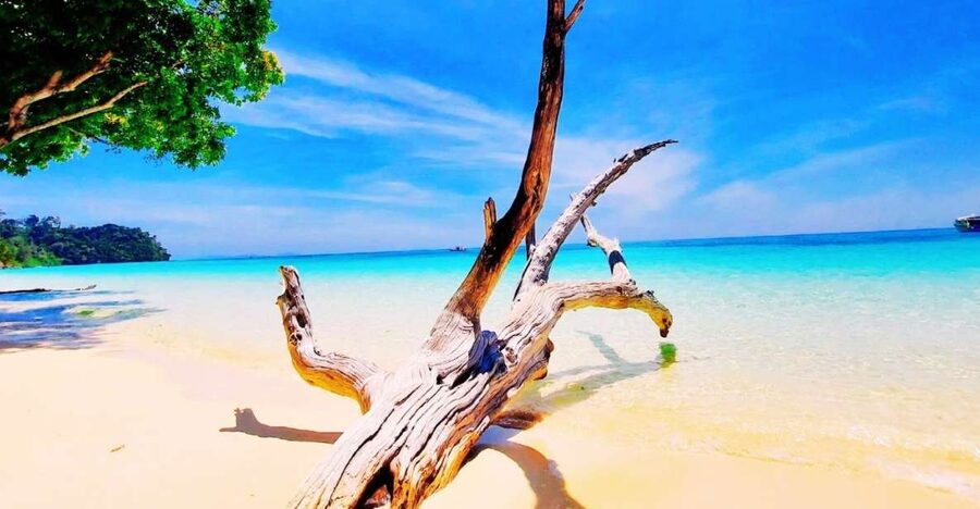 Ko Lanta: Koh Rok & Koh Haa Snorkelling Tour by Speedboat - Key points to know before booking