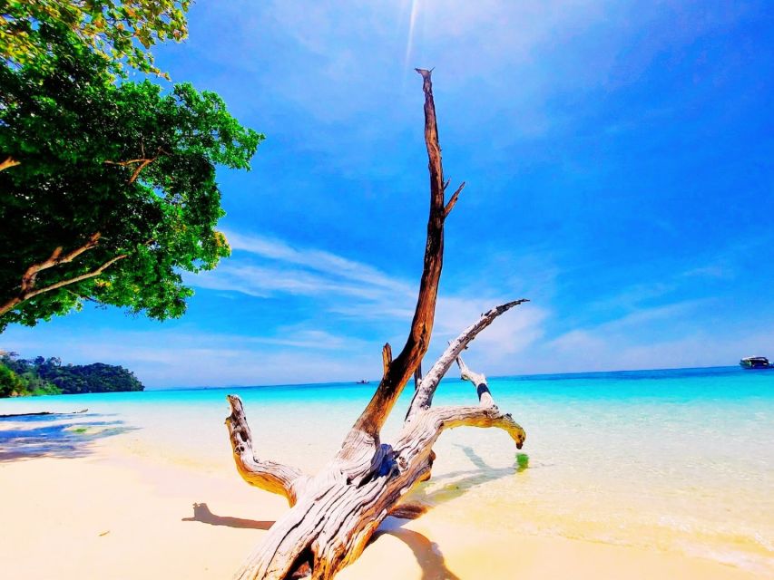 Ko Lanta: Koh Rok & Koh Haa Snorkelling Tour by Speedboat - The one-hour ride to the islands