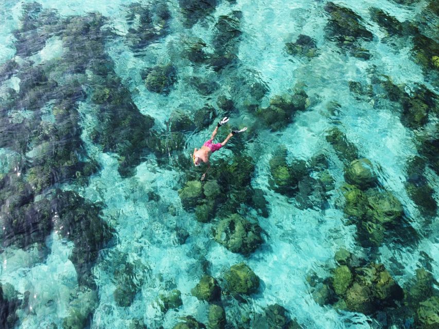 Ko Lanta: Koh Rok & Koh Haa Snorkelling Tour by Speedboat - The final Koh Rok snorkeling stop