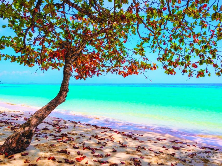 Ko Lanta: Koh Rok & Koh Haa Snorkelling Tour by Speedboat - Morning pickup across Ko Lanta