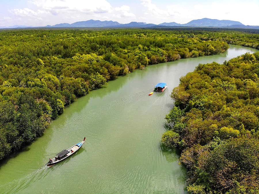 Ko Lanta: Mangrove Forest Boat Tour with Lunch or Dinner - Key points at a glance