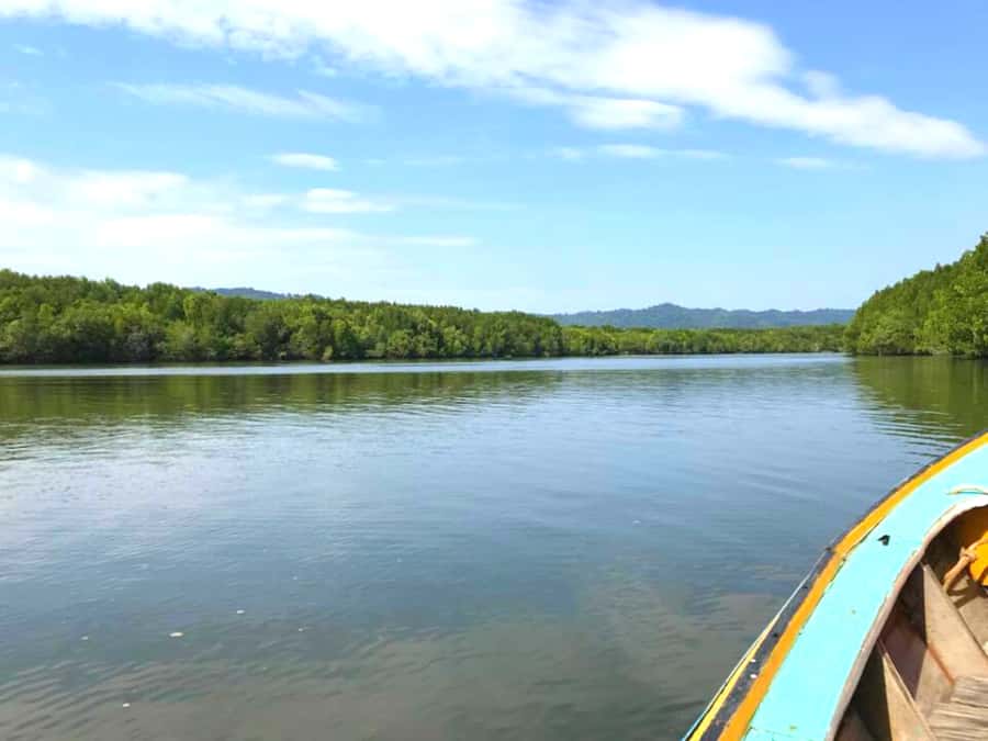 Ko Lanta: Mangrove Forest Boat Tour with Lunch or Dinner - Lunch or dinner at a local restaurant
