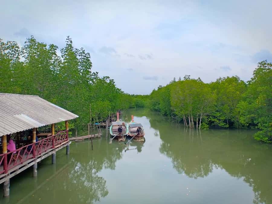 Ko Lanta: Mangrove Forest Boat Tour with Lunch or Dinner - Is $35 a fair price?
