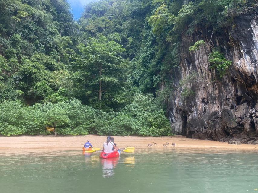 Ko Lanta: Mangrove Kayaking, Ko Talabeng, & Skull Island - Mangrove kayaking beneath the tree canopy