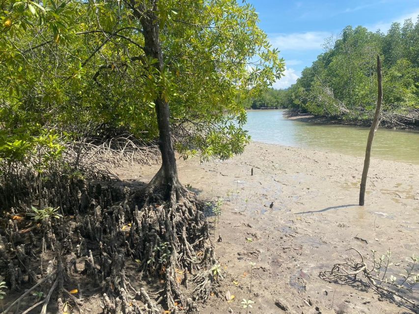 Ko Lanta: Mangrove Kayaking, Ko Talabeng, & Skull Island - The guides make the active sections work