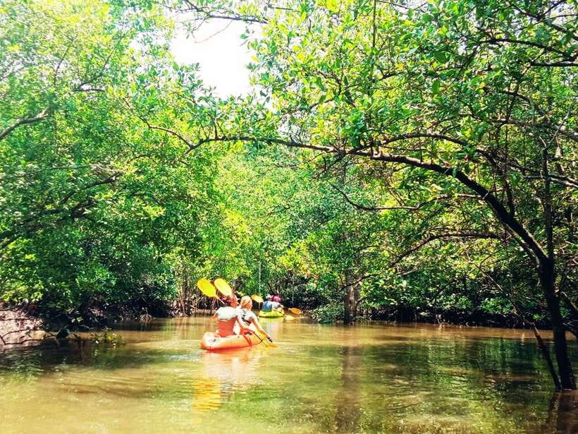 Ko Lanta: Mangrove Kayaking with Lunch and Hotel Transfer - Paddling into Tung Yee Peng’s mangroves