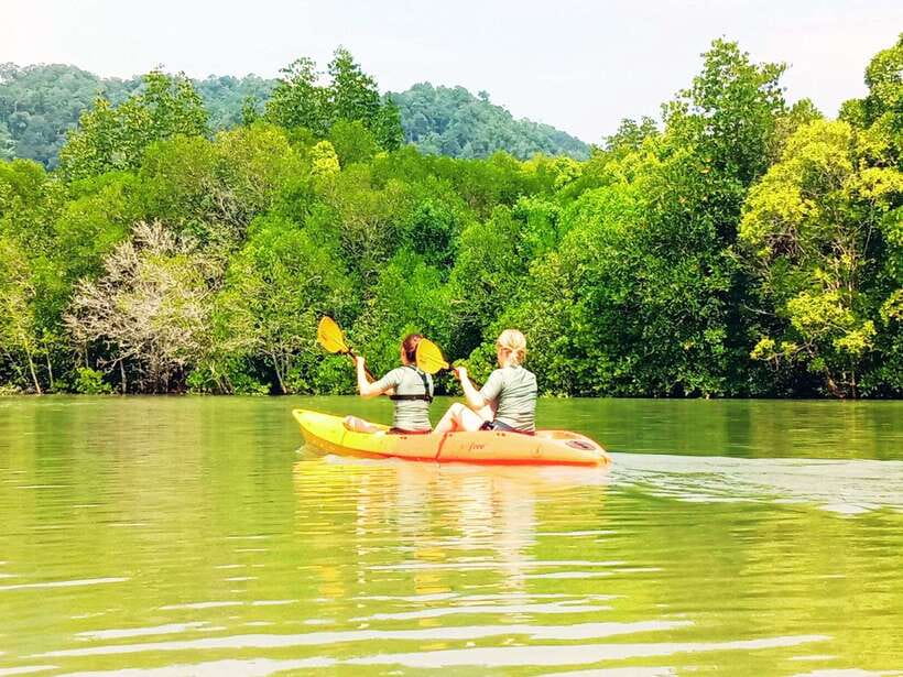 Ko Lanta: Mangrove Kayaking with Lunch and Hotel Transfer - Monkeys, mudfish, and small wildlife sightings