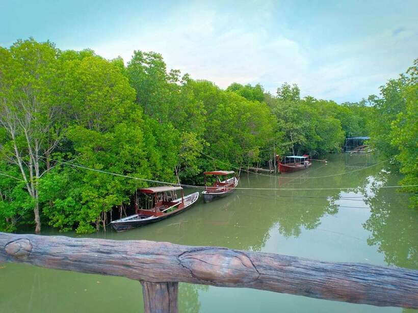 Ko Lanta: Mangrove Kayaking with Lunch and Hotel Transfer - Who will enjoy this Ko Lanta kayaking trip
