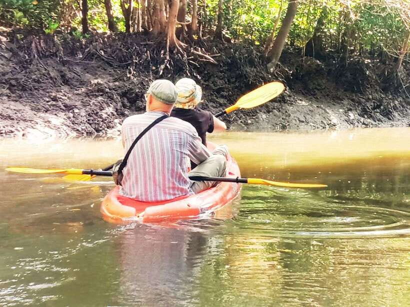 Ko Lanta: Mangrove Kayaking with Lunch and Hotel Transfer - Practical tips for a smoother morning or afternoon