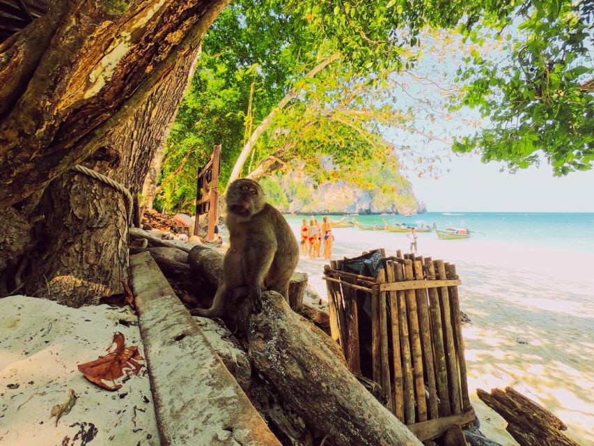 Ko Lanta: Phi Phi Day Trip by Speed Boat - Monkey Beach: good water, uncertain beach time