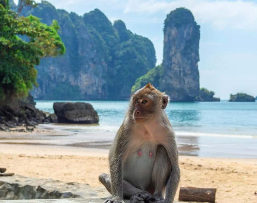 Ko Lanta: Private Exploration– Mangroves, Old Town & Beaches - What to pack and who should skip it