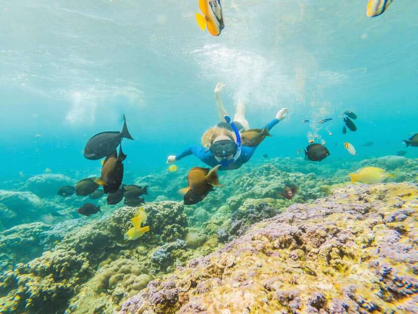 Ko Lanta: Snorkeling Adventure Tour to Koh Rok and Koh Haa - Is $52 a fair price?