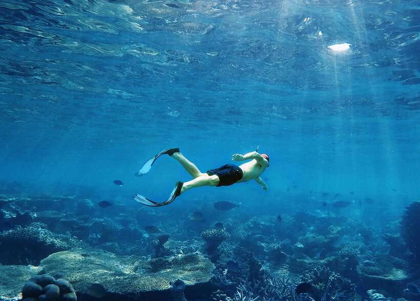 Ko Lanta: Snorkeling Adventure Tour to Koh Rok and Koh Haa - A 45-minute run from Saladan Pier
