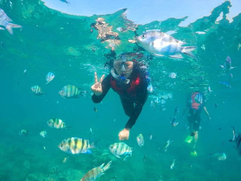 Ko Lanta: Unique 4-Island Long-Tail Snorkeling Tour w/ Lunch - Who will get the most from this tour?