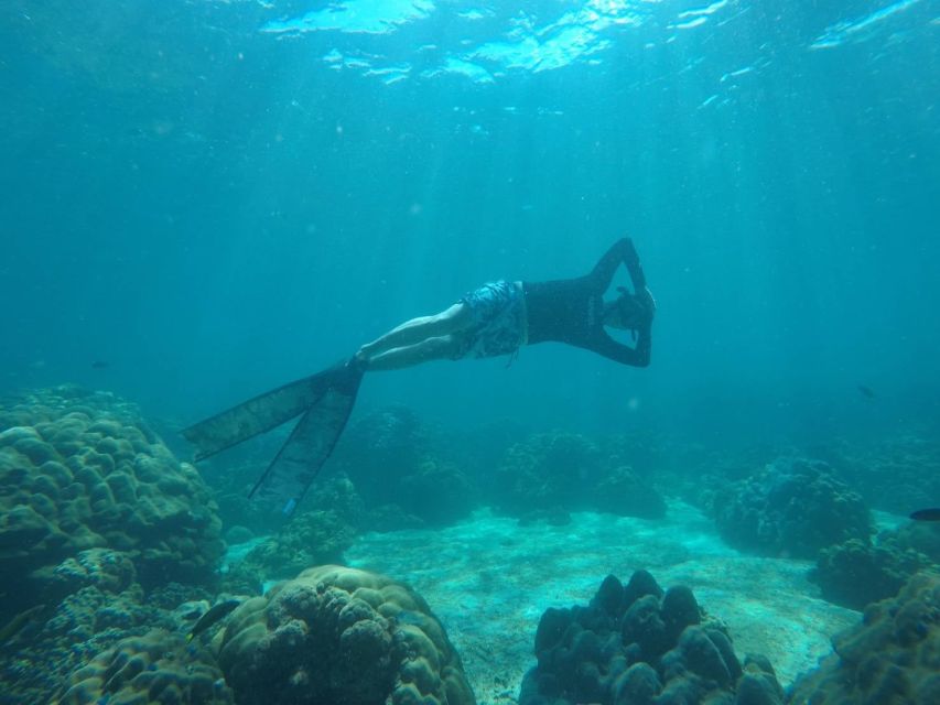 Ko Lipe: Outside Zone Snorkeling Trip by Longtail Boat - Key points at a glance