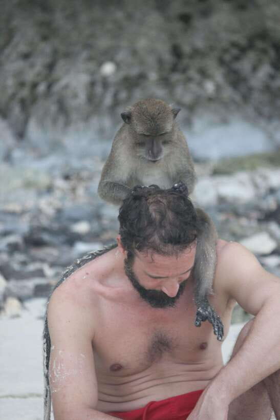 Ko Phi Phi Don: Speedboat Day Trip with Shark Snorkeling - Monkey Beach and the first wildlife stop