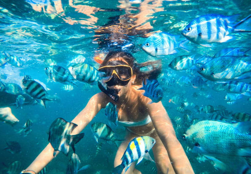 Ko Samet: 5 or 6 Islands Snorkeling Tour with Lunch Option - Koh Tham Tai Khao, the Main Reef Stop
