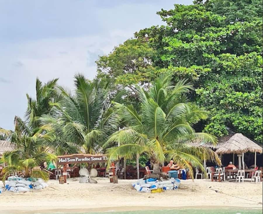 Ko Samui: Pig Island Snorkeling and Koh Tan Speedboat Tour - Who should book this Pig Island trip?
